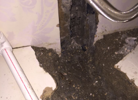 志丹卫生间测漏水哪家好