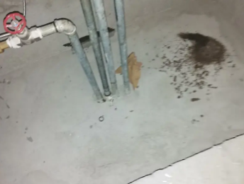 志丹卫生间测漏水价格明细