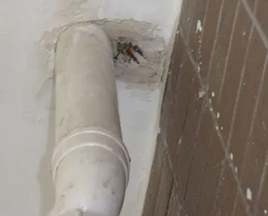 志丹漏水检测哪家好